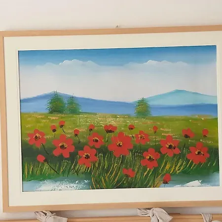 Nel Cuore Del Comelico *